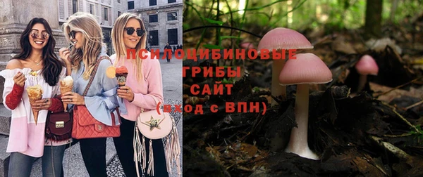 спайс Вяземский